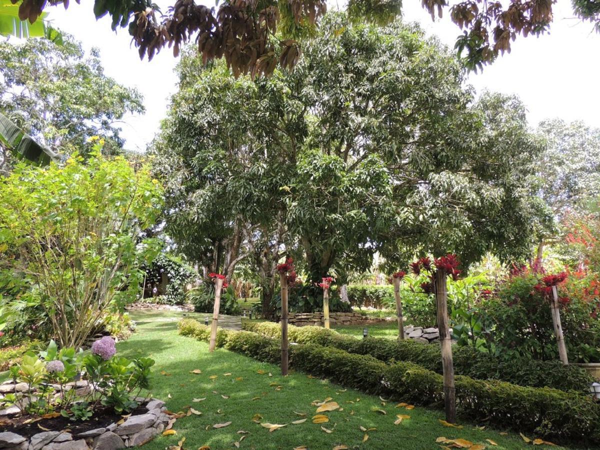 Sitio Alto Da Montanha - Voce Em Paz Com A Natureza Pacoti Exterior foto