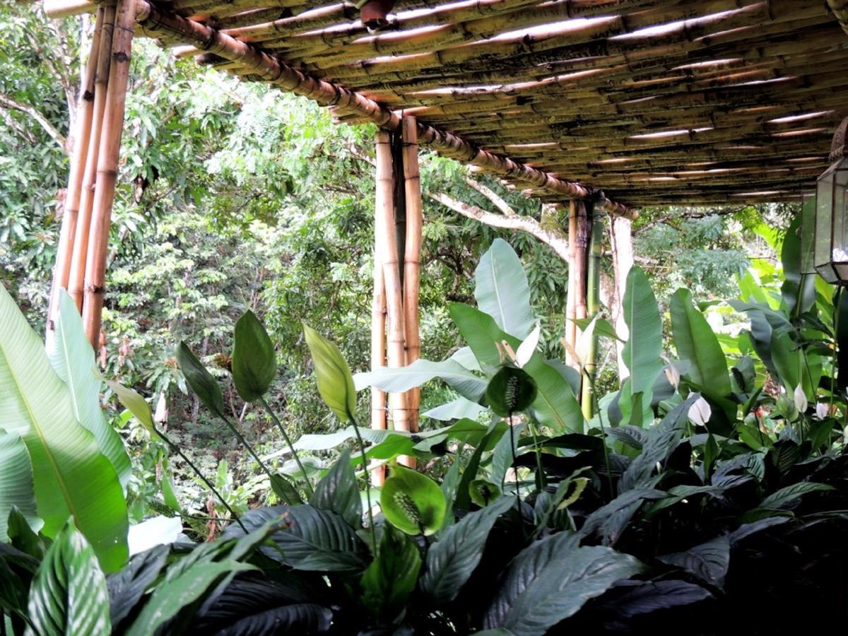 Sitio Alto Da Montanha - Voce Em Paz Com A Natureza Pacoti Exterior foto