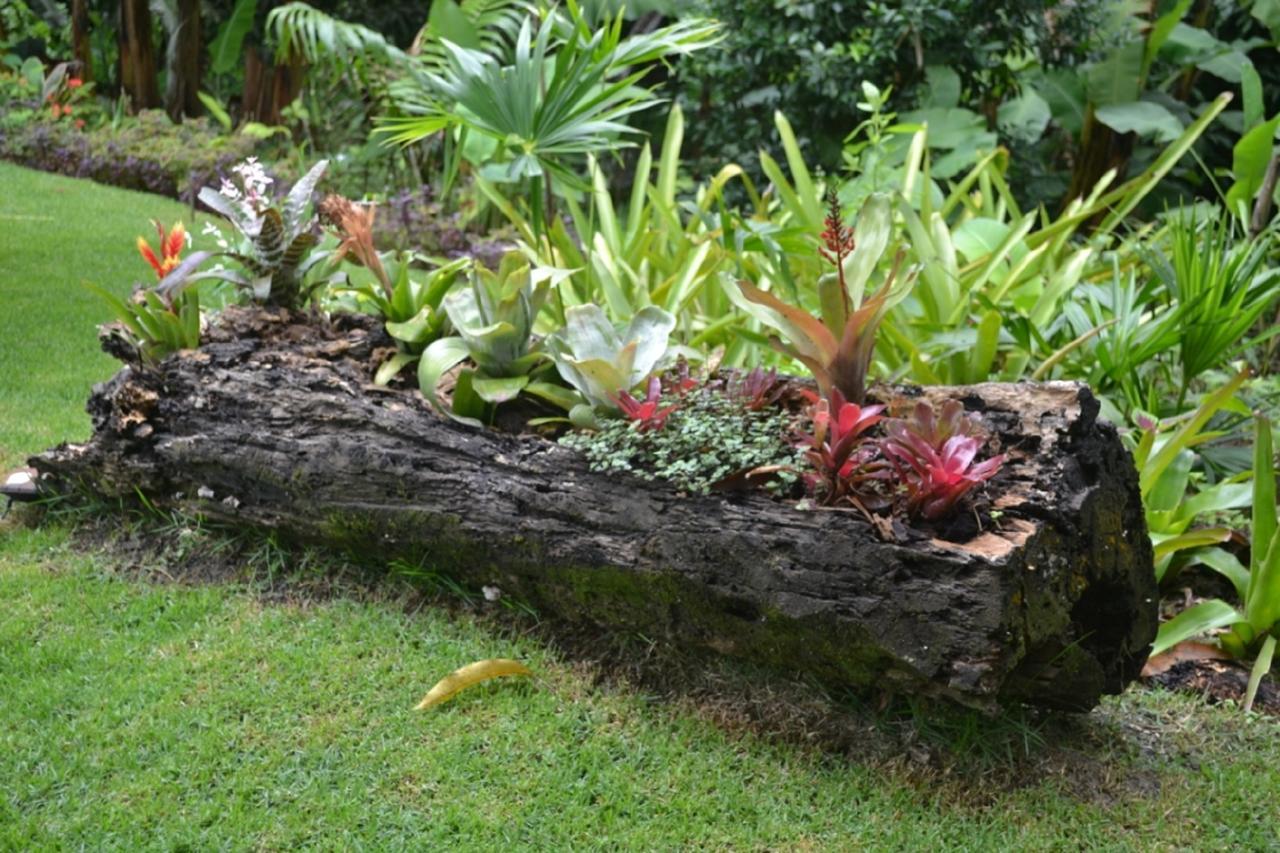Sitio Alto Da Montanha - Voce Em Paz Com A Natureza Pacoti Exterior foto