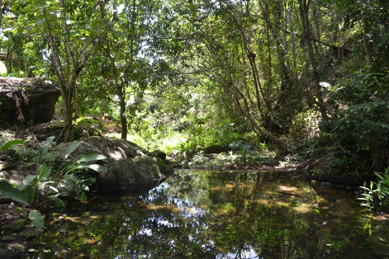 Sitio Alto Da Montanha - Voce Em Paz Com A Natureza Pacoti Exterior foto