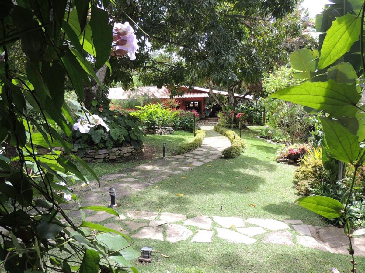 Sitio Alto Da Montanha - Voce Em Paz Com A Natureza Pacoti Exterior foto