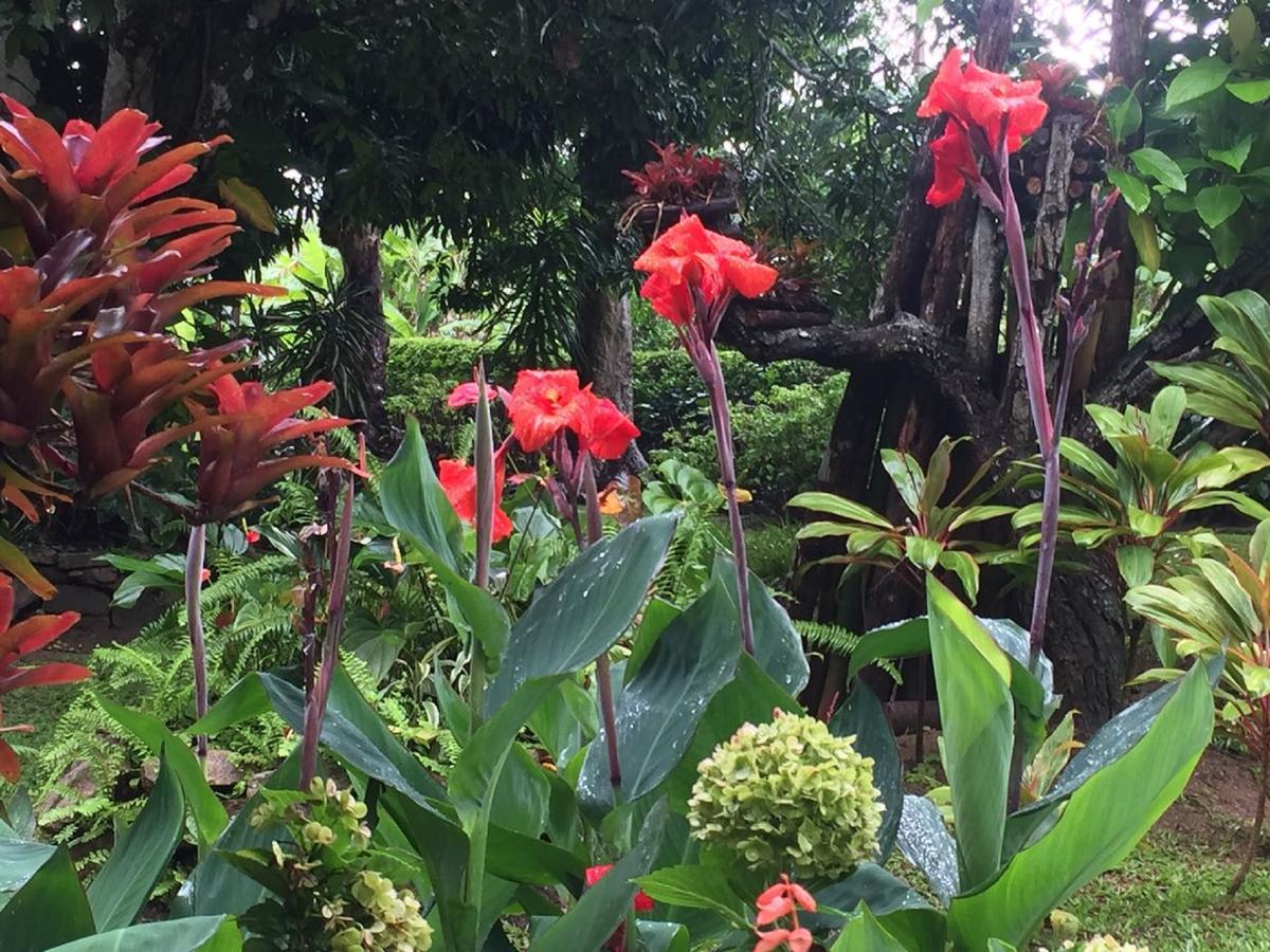 Sitio Alto Da Montanha - Voce Em Paz Com A Natureza Villa Pacoti Exterior foto